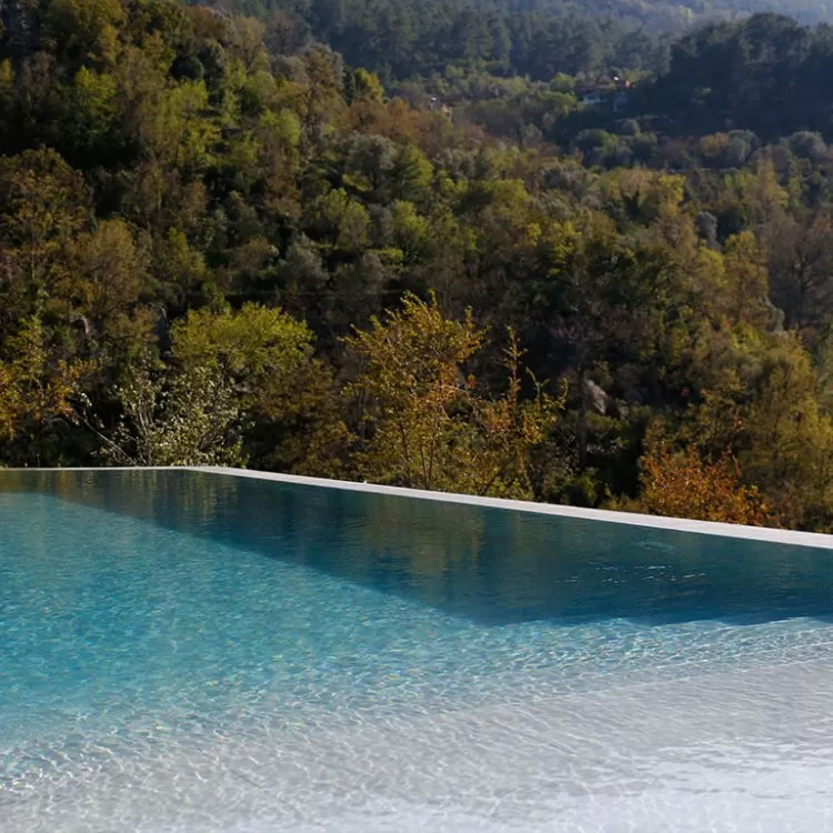 Infinity pool view of forest