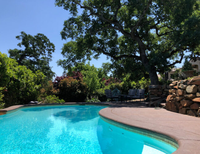 Custom outdoor Falcon Pools freeform pool