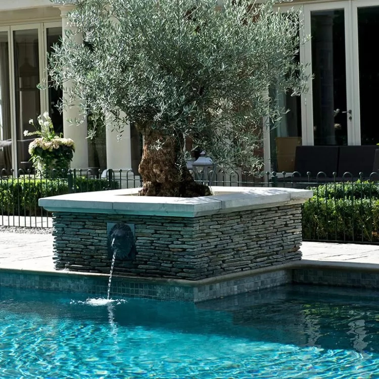 Outdoor pool water feature from a cast iron lion head wall fountain